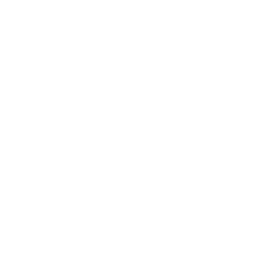 Gemini Gemini