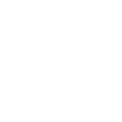 Open AI Open AI